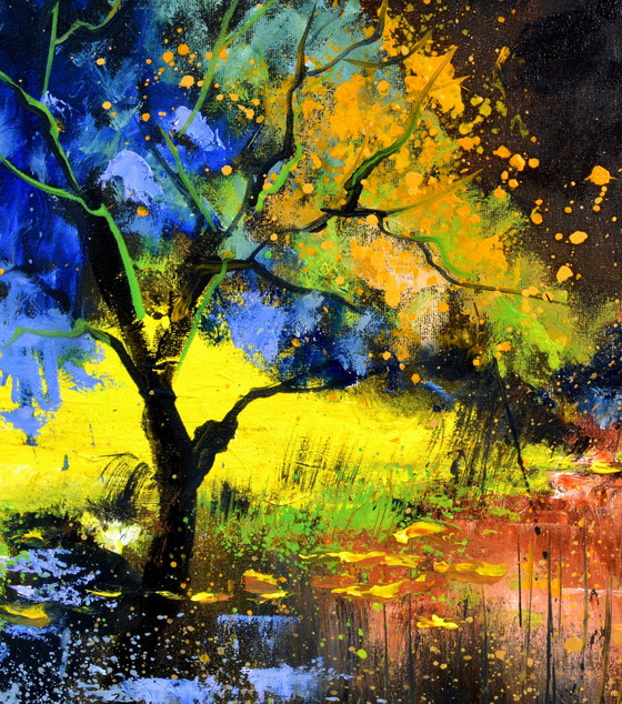 Image 1 of Eaux calmes dans un bois sombre