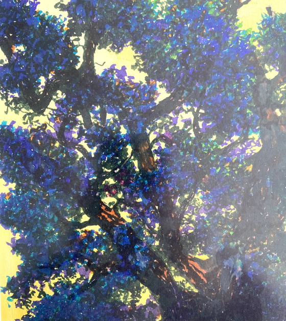 Image 1 of Eiken in betere tijden