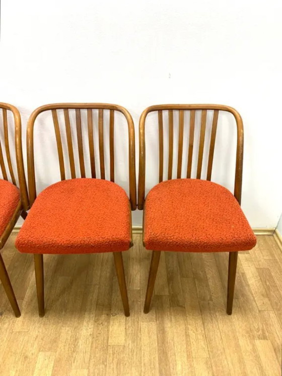 Image 1 of Set of 4 Chairs, TON by A. Šuman, 1960s, Czechoslovakia