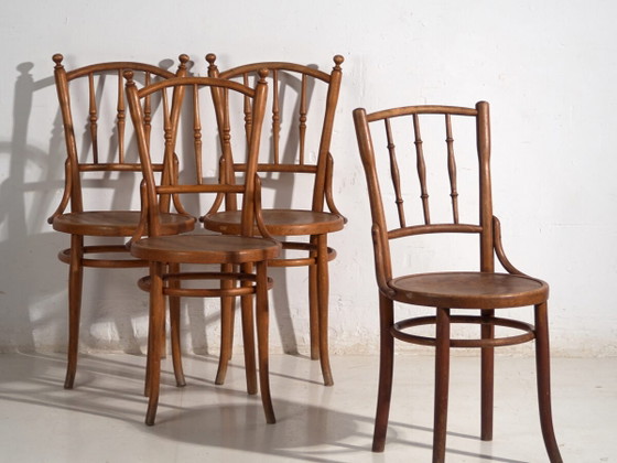 Antikes Set von 4 Bugholzstühlen aus gebogenem Holz – Mitteleuropa, um 1900 – Thonet, Esszimmerstühle, Metal (photo 2 of 40)