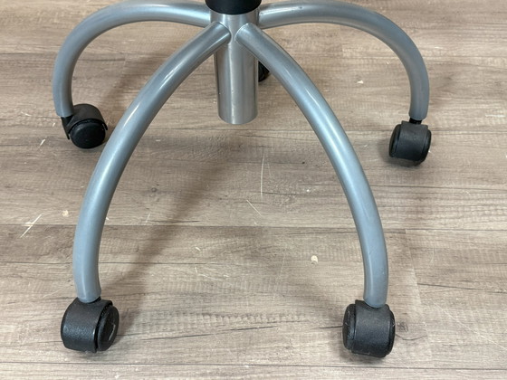 Image 1 of El Padua Gris Plata-Verde