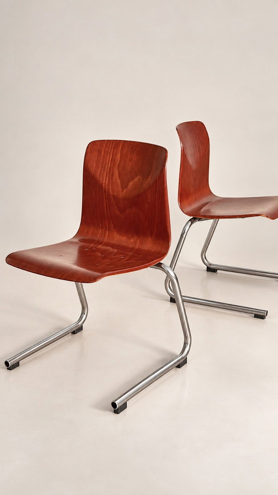 SET OF 6 VINTAGE THUR OP SEAT CHAIRS – PAGHOLZ 60S – Dining chairs, Wood (photo 5 of 9)
