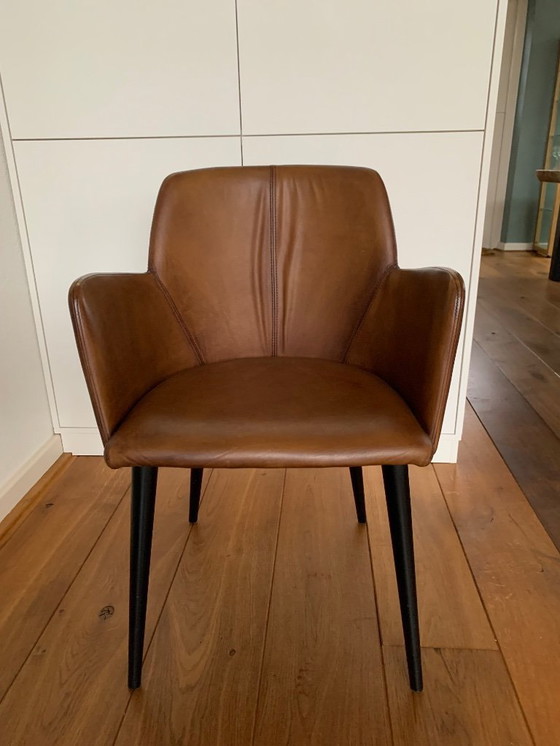 Image 1 of Sedie da pranzo in pelle