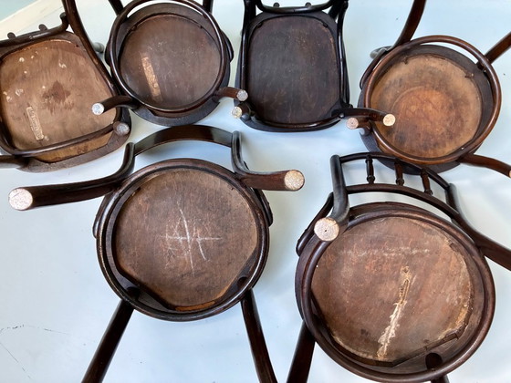 Image 1 of 6 Mixed Thonet chairs