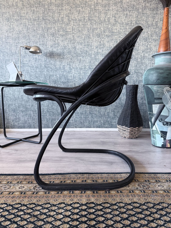 Image 1 of 4x Pascale Dining Chairs by Gastone Rinaldi for Thema, 1970s