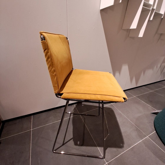 Image 1 of MDF Italia Neil barkruk