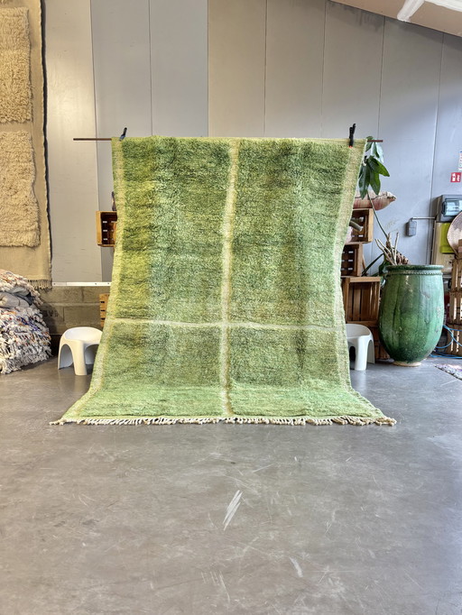 Tapis berbère moderne - Design vert subtil (200X300 Cm)