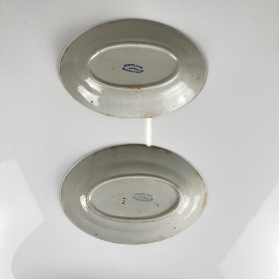 Image 1 of Coppia di piatti da portata in porcellana, Badonviller, fiore rosso, 1950