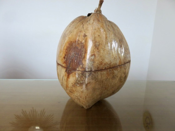 Image 1 of Large ice bucket, ice cube tray, 1970s. Vintage coconut ice bucket