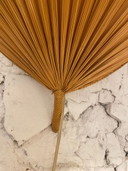 Lampada da parete vintage a forma di ventilatore, anni '60