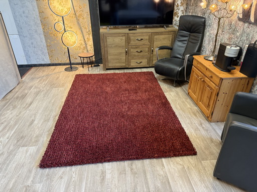 Puntini di Brink En Campman