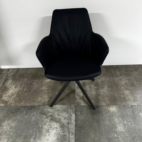 Juego de 6 piezas de arce 3.0 – Bert Plantagie, Sillas de comedor, Textile, Lambskin (photo 4 of 4)