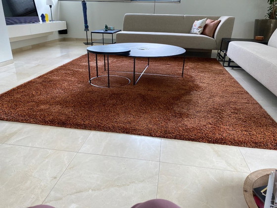 Alfombra – Millenerpoort, Wool, Silk (photo 2 of 10)