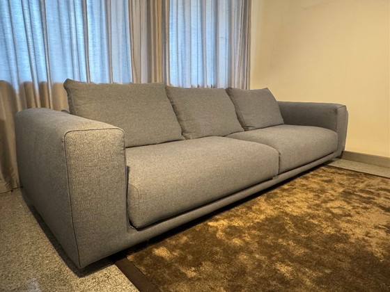 Image 1 of COR sofa Moss