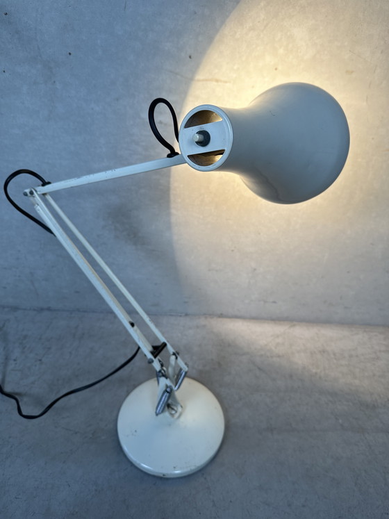 Image 1 of Vintage desk lamp - Anglepoise