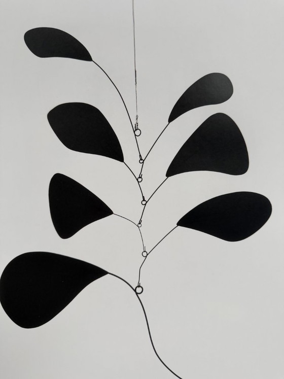 Alexander Calder (1898-1976), Skogen är det bästa stället, 1945, Copyright Calder Foundation, New York/ARS, (photo 5 of 10)