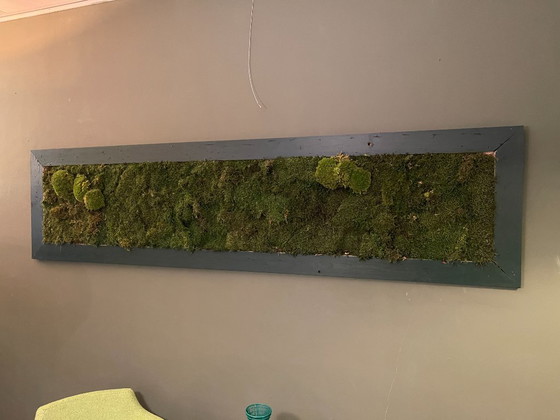 Image 1 of Moss Painting