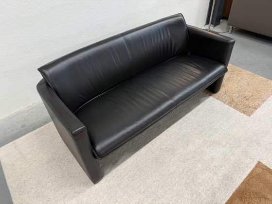 Divano Leolux Fiabo 2,5 posti in pelle nera – Divani 2 posti, Leather (photo 5 of 8)