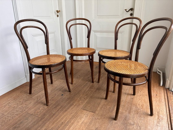 4x Thonet no 14 style chairs with excellent webbing seat, ZPM Radomsko, Dining chairs, Rattan, Wood, Beige (photo 3 of 10)