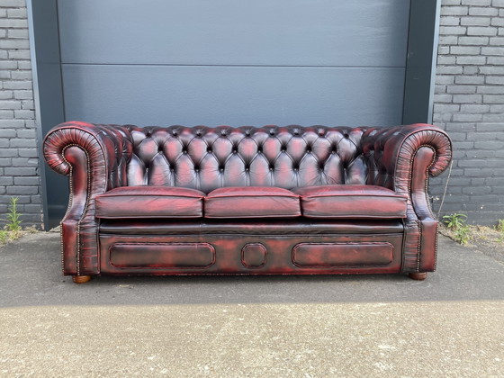 Sofá de 3+1+1 plazas color rojo burdeos – Chesterfield, Leather, Wood (photo 5 of 7)