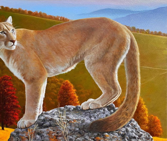 Original Oil Painting Portrait Animal Mountain Landscape Puma In The Wild – Paintings & Drawings, Canvas (photo 5 of 7)
