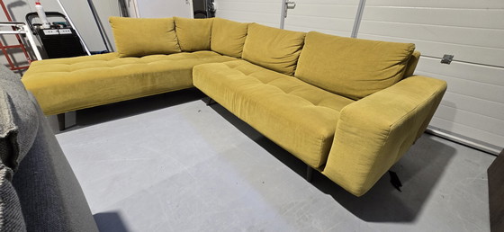 Image 1 of Passe partout bigfood jaune ocre