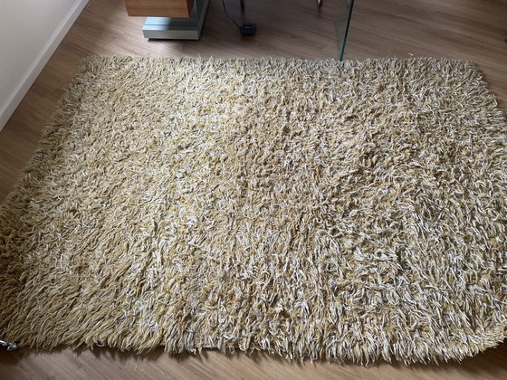 Image 1 of Tappeto in lana proveniente dall'India 165x235 tessuto a mano