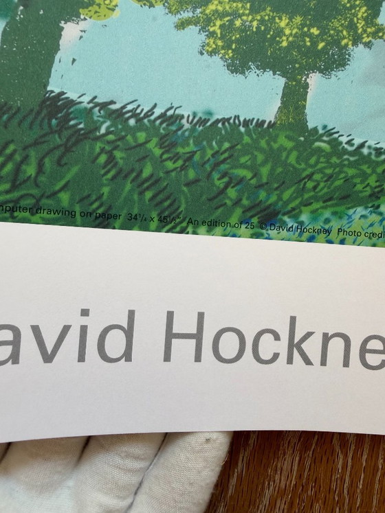 David Hockney (1937-2026), Ciel d'été, 2008, © David Hockney, Imprimé au Royaume-Uni – Tirages d'art, Paper (photo 3 of 11)