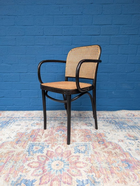 Image 1 of 4 chaises Prague 811 vintage, Josef Hoffmann, années 1960