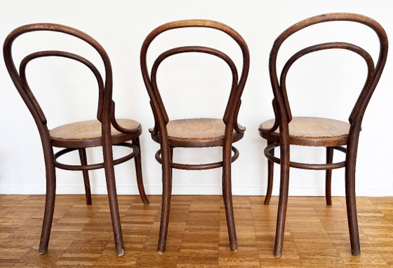 3 sedie vintage Thonet Café n. 14 – Sedie da pranzo, Wood (photo 3 of 10)