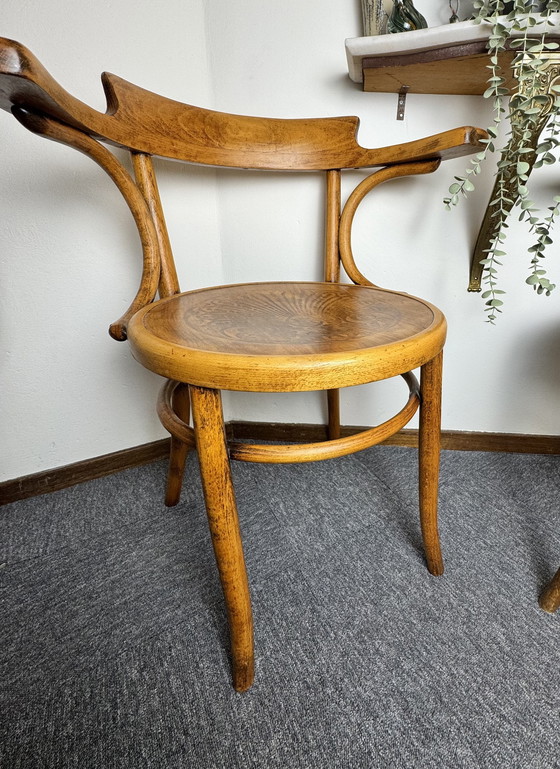 Image 1 of Origineel duo vintage bentwood armstoelen – Thonet (Bieletz-Mistelbach, ca. 1920) & Fischel (Czechoslovakia, ca. 1950)