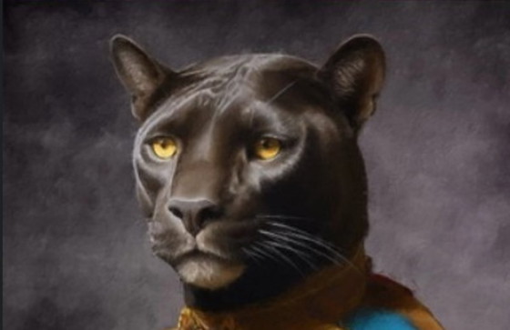 Image 1 of Pantera Arcoíris