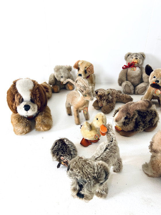 Image 1 of 19x Steiff Soft toy Vintage