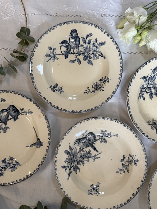 Juego de 5 platos favoritos