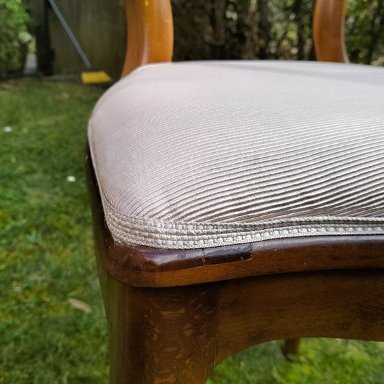 Image 1 of 6 sedie da pranzo