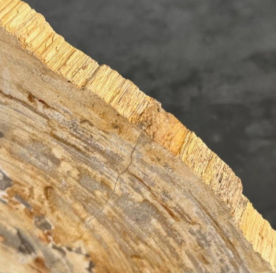 Image 1 of Bois fossilisé de Sooka, fabrication sur mesure standard (neuf)