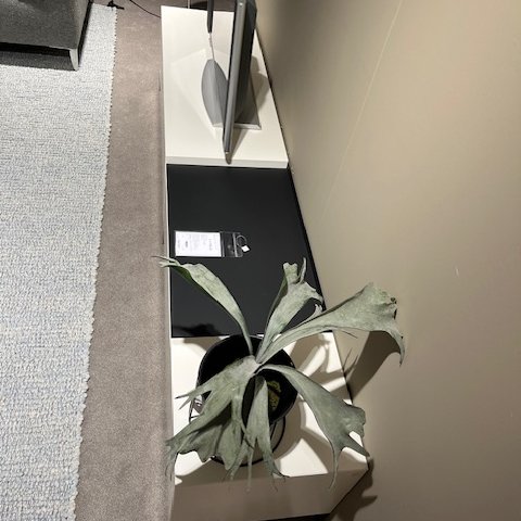 Image 1 of Piure Box tv-meubel