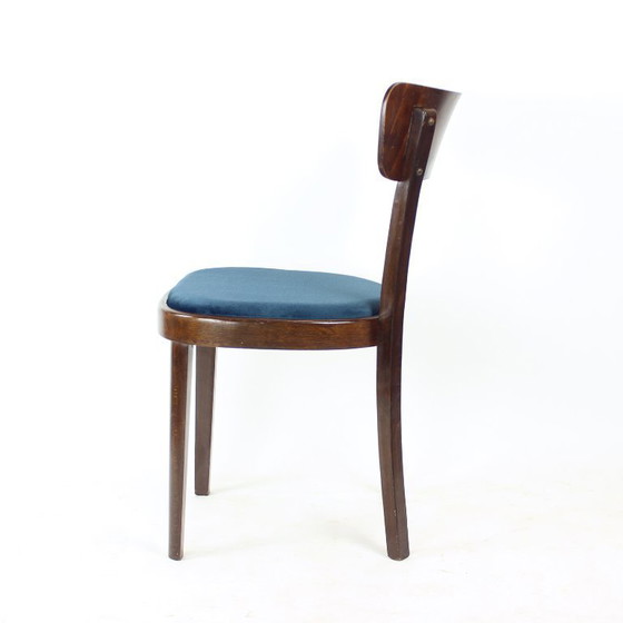 Image 1 of Ensemble de quatre chaises de salle à manger Tatra, Tchécoslovaquie, années 1950