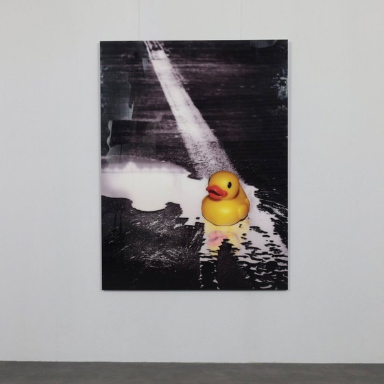 Image 1 of Ivana Vostrakova – “Spring Swimming” Digital Artwork, 2013