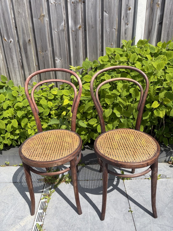 Image 1 of 2 vintage Thonet chairs with webbing seats