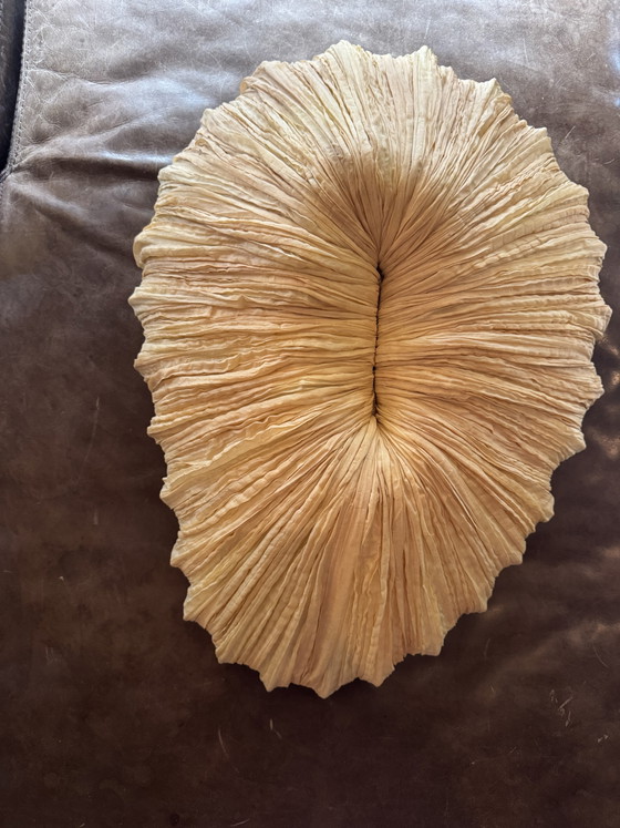 Image 1 of Aqua Creations - Lampe murale/plafonnier Baby Coral