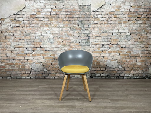 Hay AAC23 gray ochre