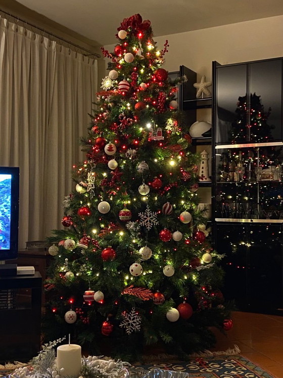 Image 1 of Libreria Olinto B&B Italia