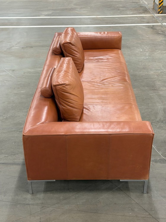 Image 1 of Design on Stock Aikon Lounge | Pelle color cognac