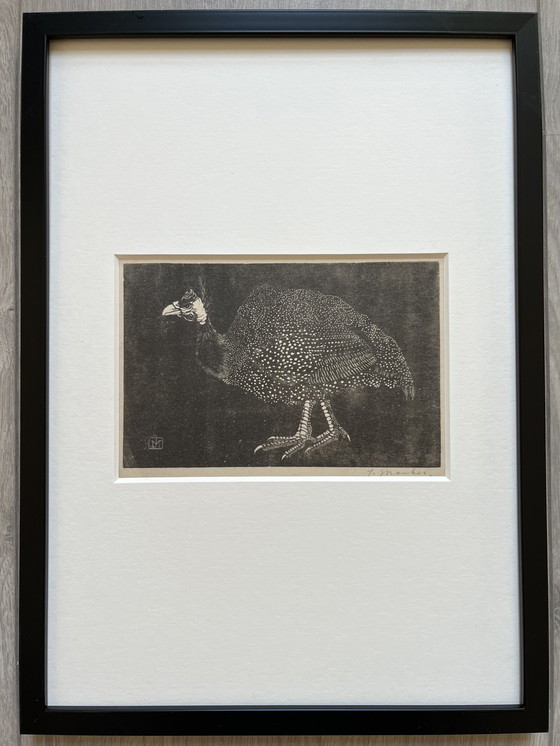 Image 1 of Jan Mankes 1889-1920 / Original Heliogravüre Perlhuhn 1923