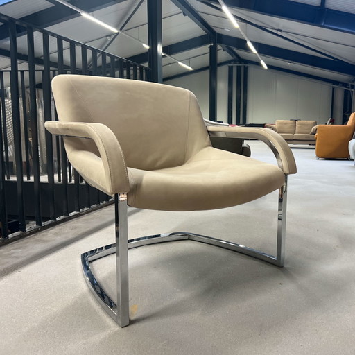 Molinari Stephanie Fauteuil nubuck leer