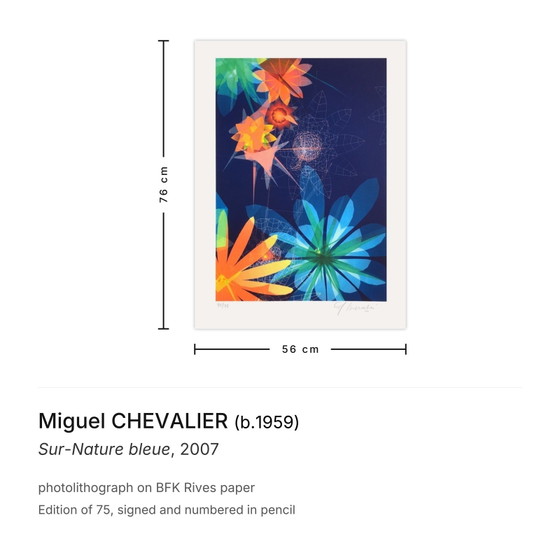 Image 1 of Miguel CHEVALIER Sur-Nature bleue Signierte Fotolithographie 2007