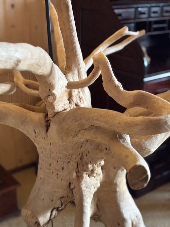 Image 1 of Vloerlamp mangrove 