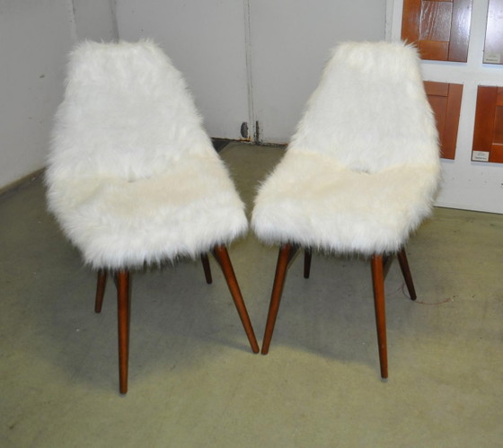 Set of Erika Side Chairs by Judit Burián for SZKIV, 1959, White, Mid Century Modern (photo 9 of 9)