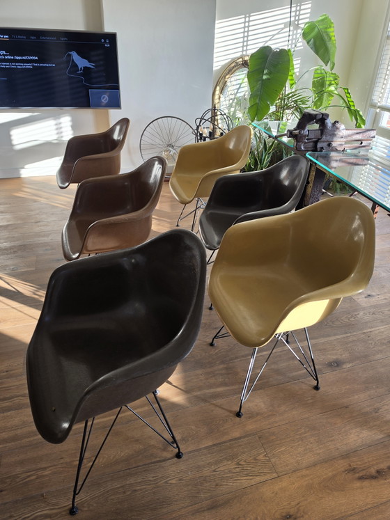 Image 1 of 6 sillones originales Herman Miller Eames de fibra de vidrio – Charles y Ray Eames